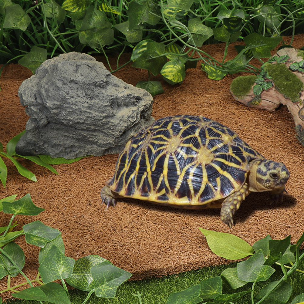 Reptile Substrate Carpet Natur – обзор и цена Substrate Coconut Fiber