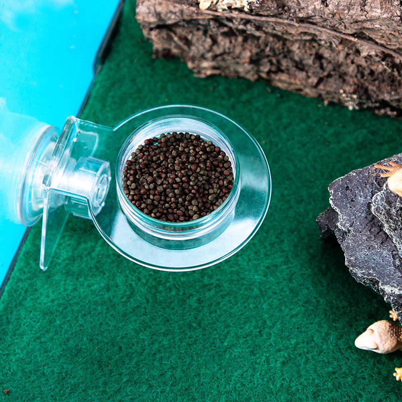 Acrylic Crawling Pet Feeding W – обзор и цена Water Dish Reptile