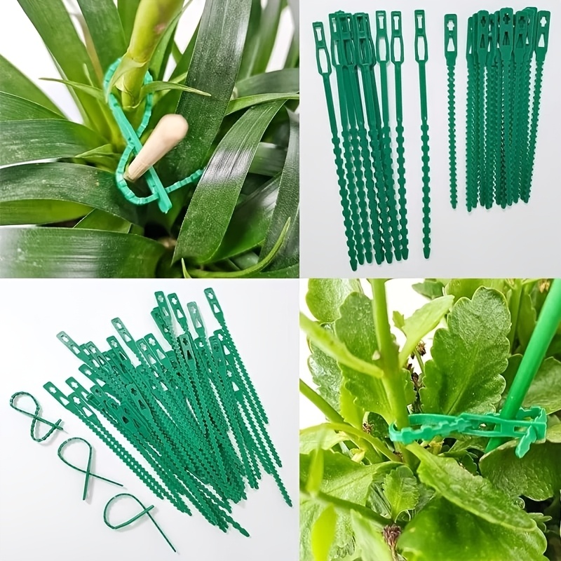 100PCS reusable adjustable pla – обзор и цена Vine Climbing Plastic