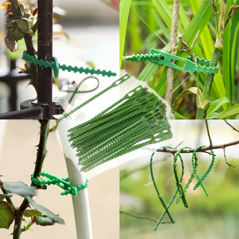 100PCS reusable adjustable pla – обзор и цена Vine Climbing Plastic