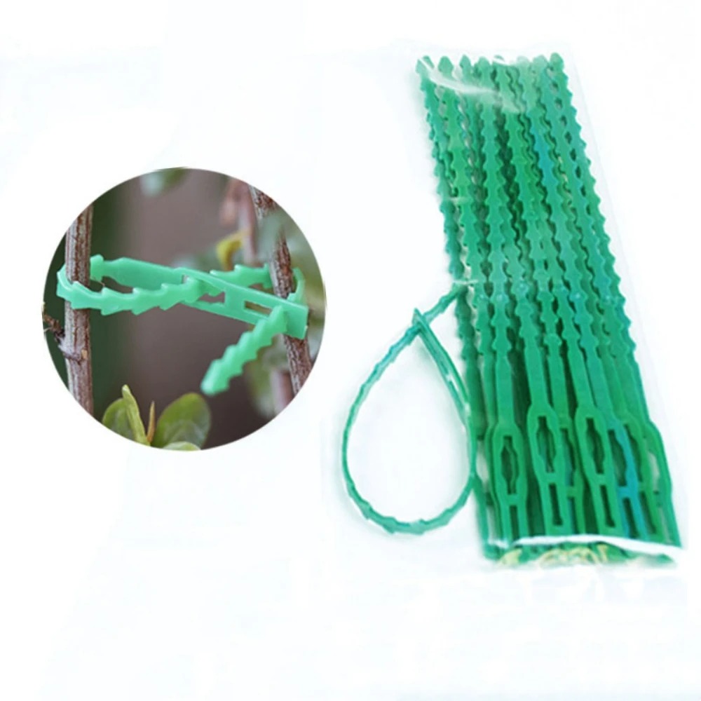 50pcs Adjustable Plastic Plant – обзор и цена Vine Climbing Plastic
