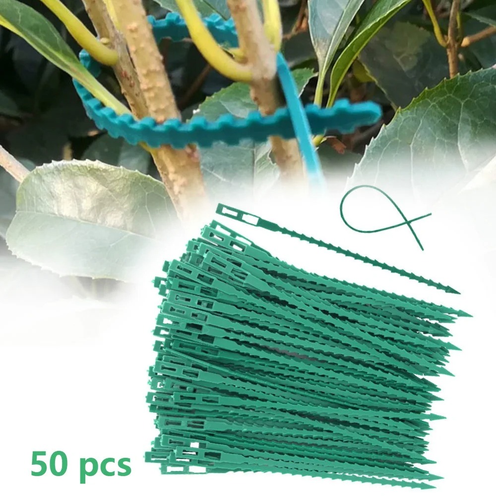 50pcs Adjustable Plastic Plant – обзор и цена Vine Climbing Plastic