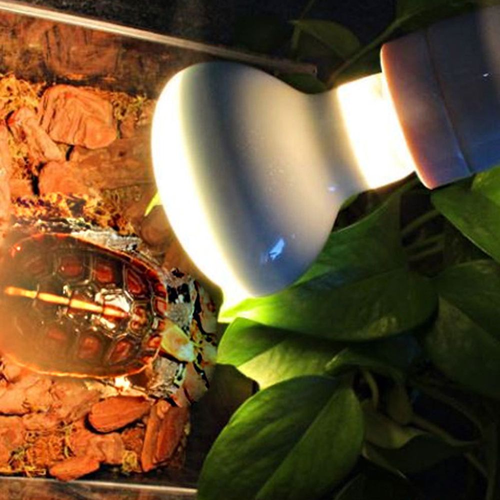 Lizard Temperature Controller  – обзор и цена Basking Bulb Halogen