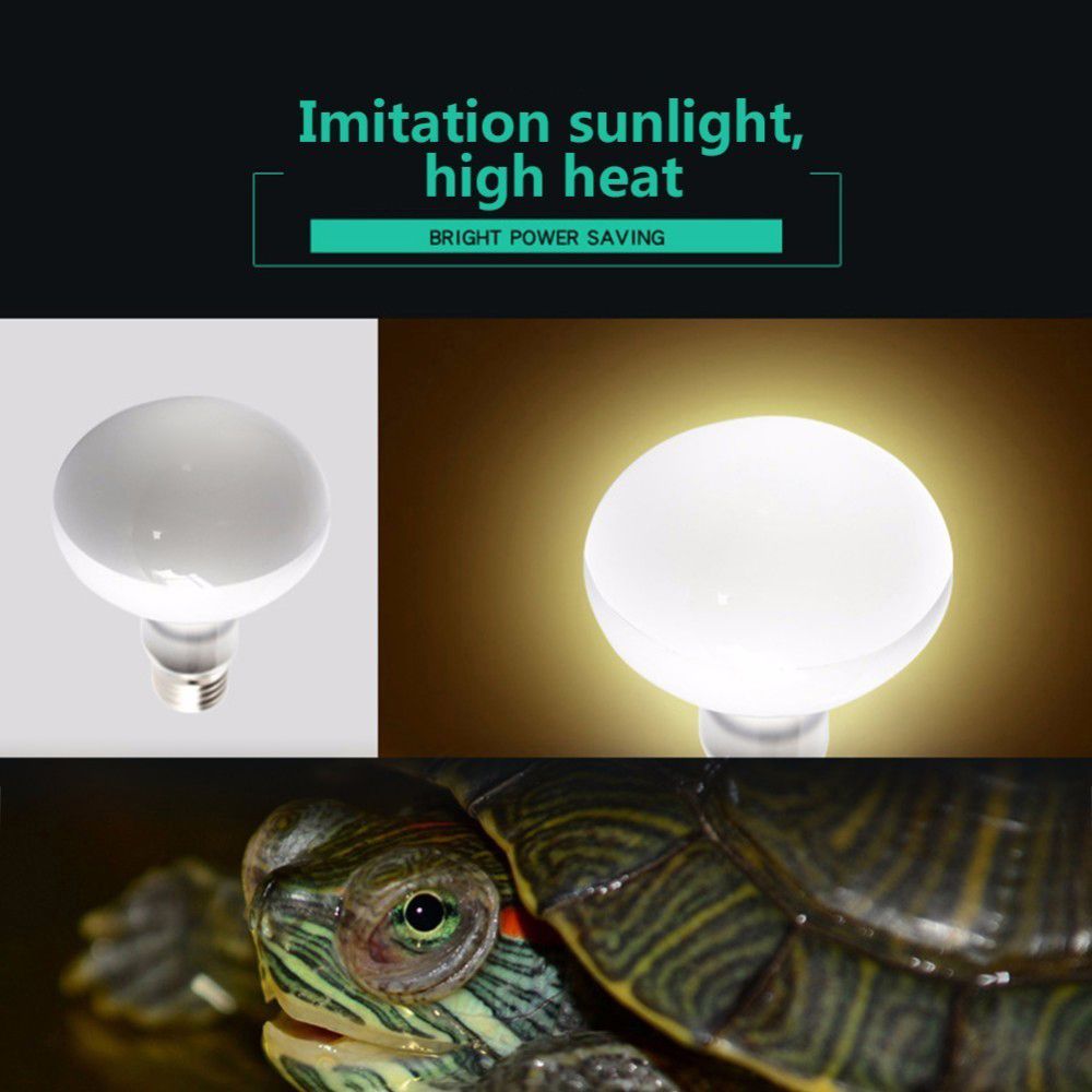 Lizard Temperature Controller  – обзор и цена Basking Bulb Halogen