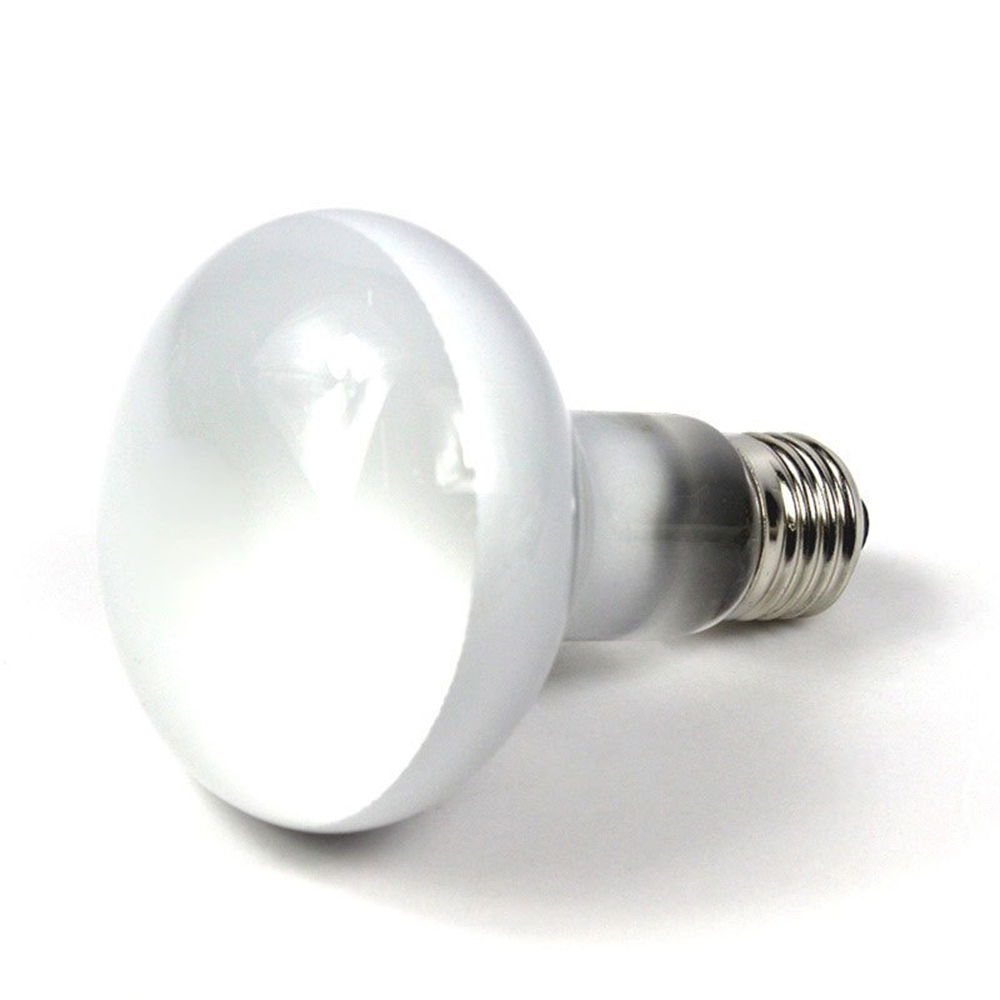 Lizard Temperature Controller  – обзор и цена Basking Bulb Halogen