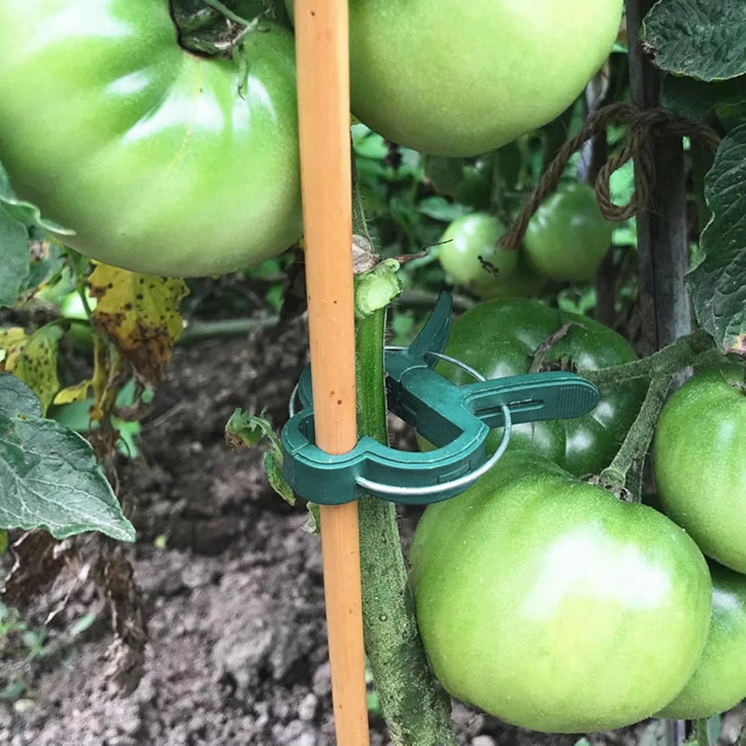 Plant Fixed Clips Reusable Gar – обзор и цена Vine Climbing Plastic