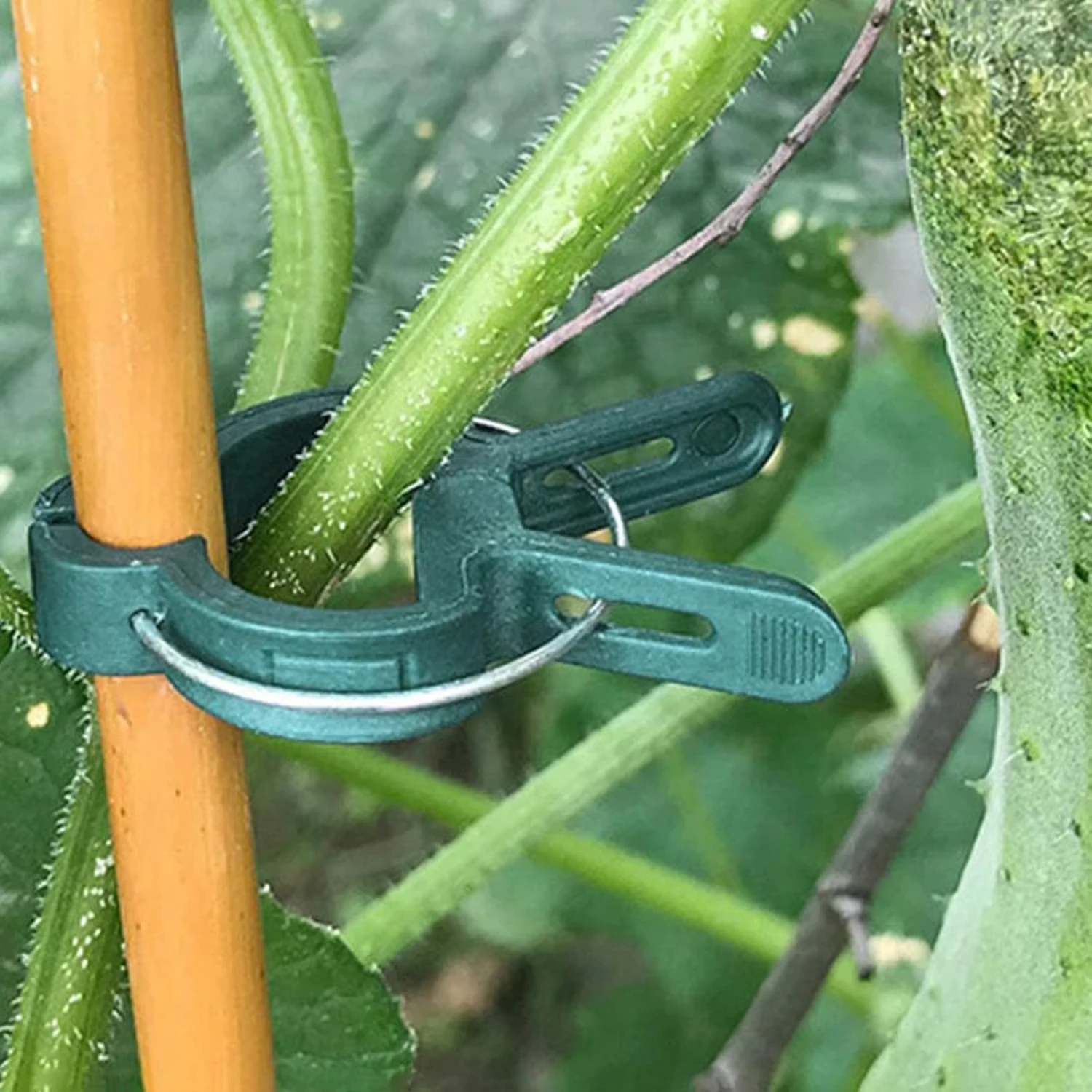 Plant Fixed Clips Reusable Gar – обзор и цена Vine Climbing Plastic