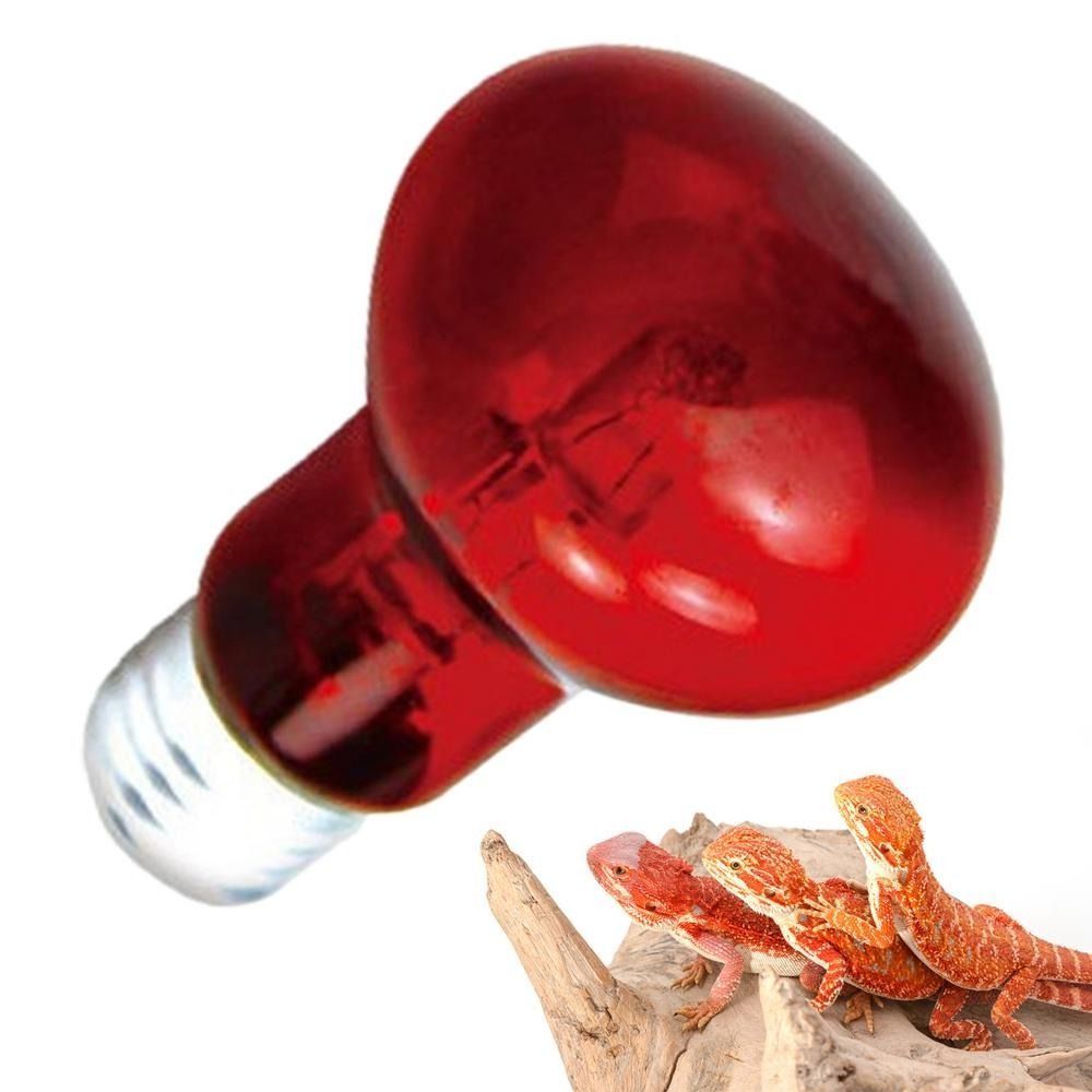 Infrared Led Pet Heating Lamp  – обзор и цена Ceramic Heat Emitter