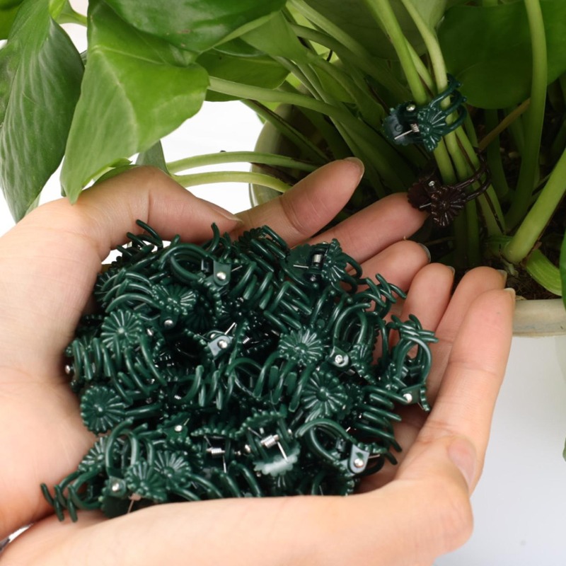 Wholesale Mini Plant Support C – обзор и цена Vine Climbing Plastic
