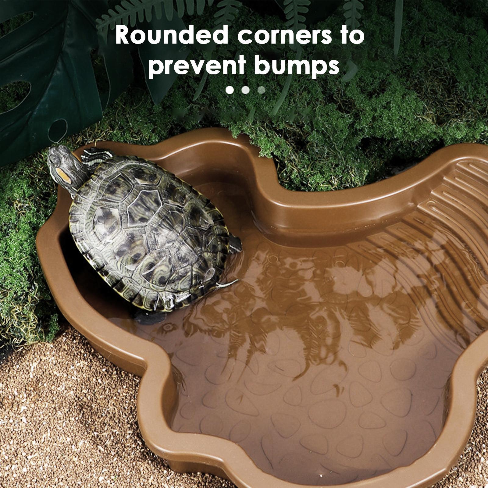Reptile Bathing Pool with Ramp – обзор и цена Water Dish Reptile