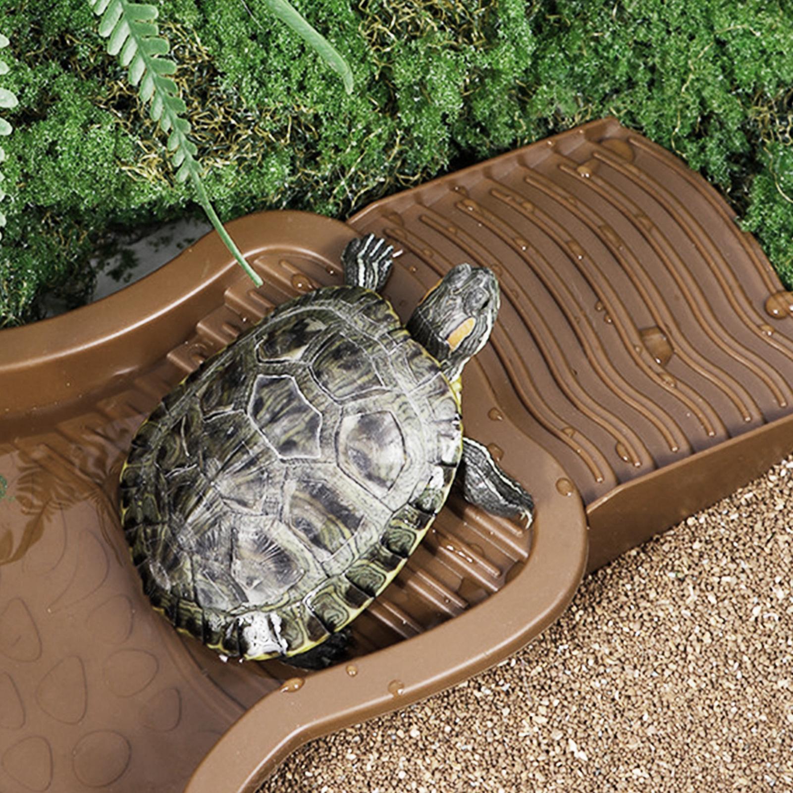 Reptile Bathing Pool with Ramp – обзор и цена Water Dish Reptile