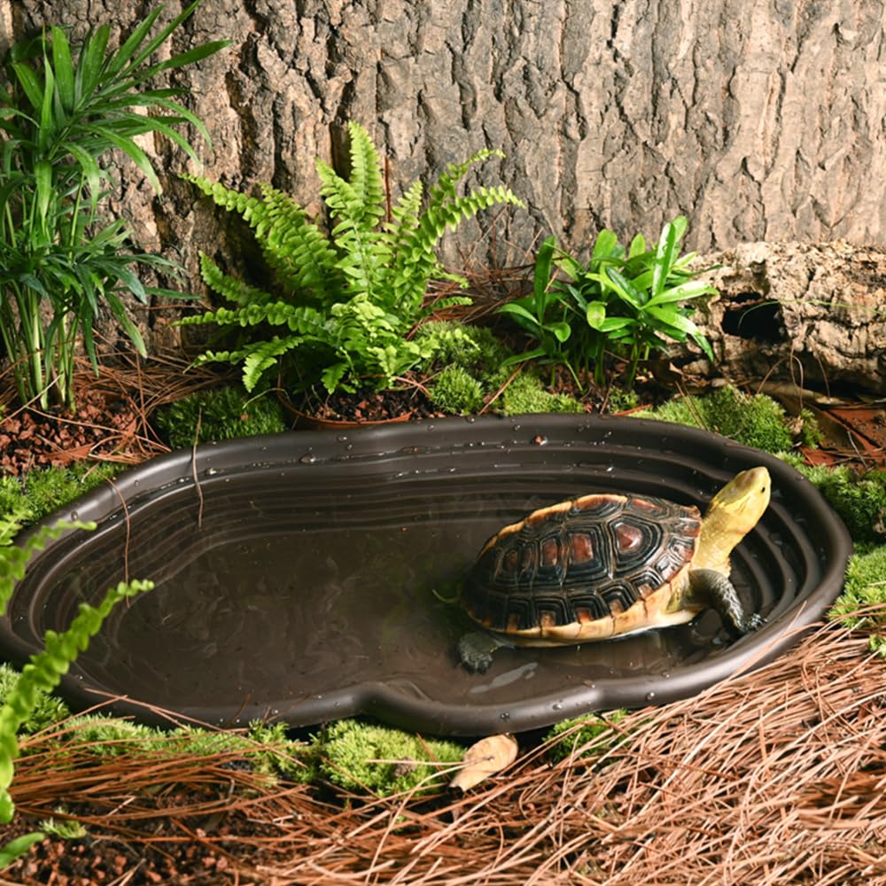Reptile Bathing Dish Amphibian – обзор и цена Water Dish Reptile