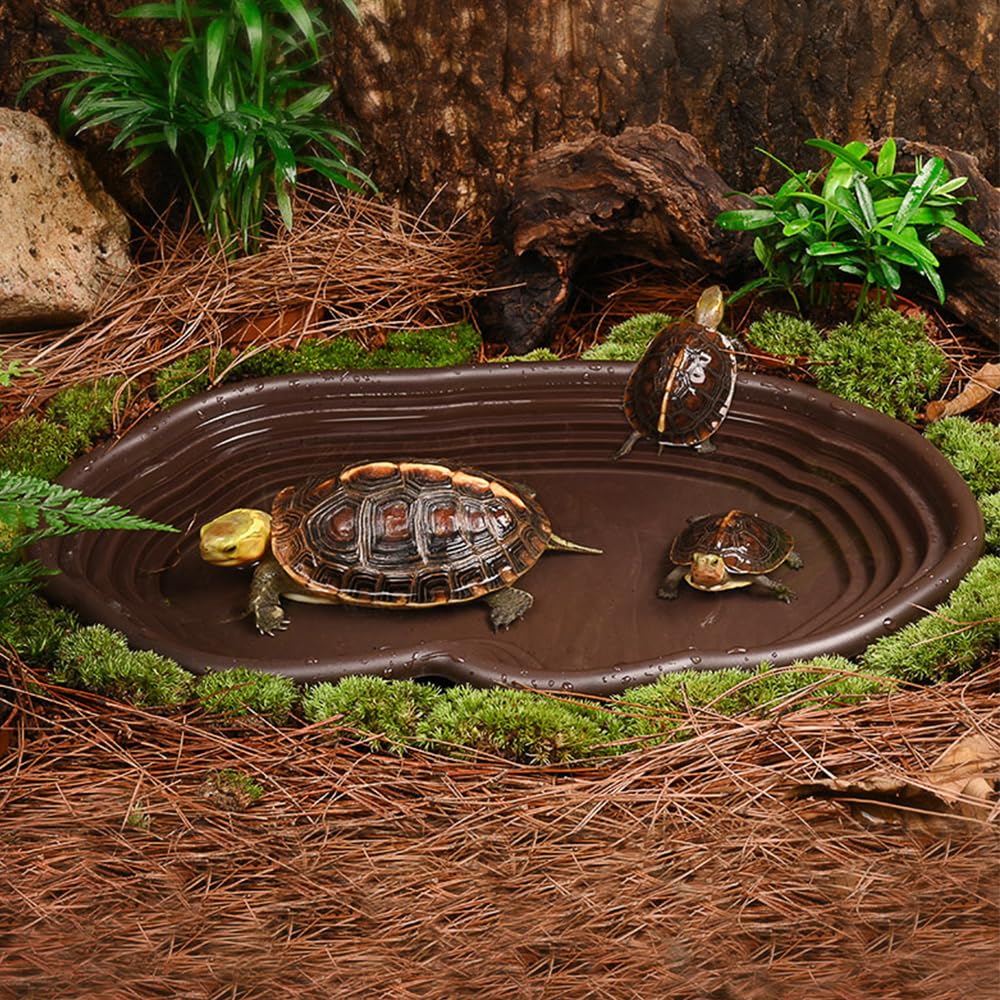 Reptile Bathing Dish Amphibian – обзор и цена Water Dish Reptile