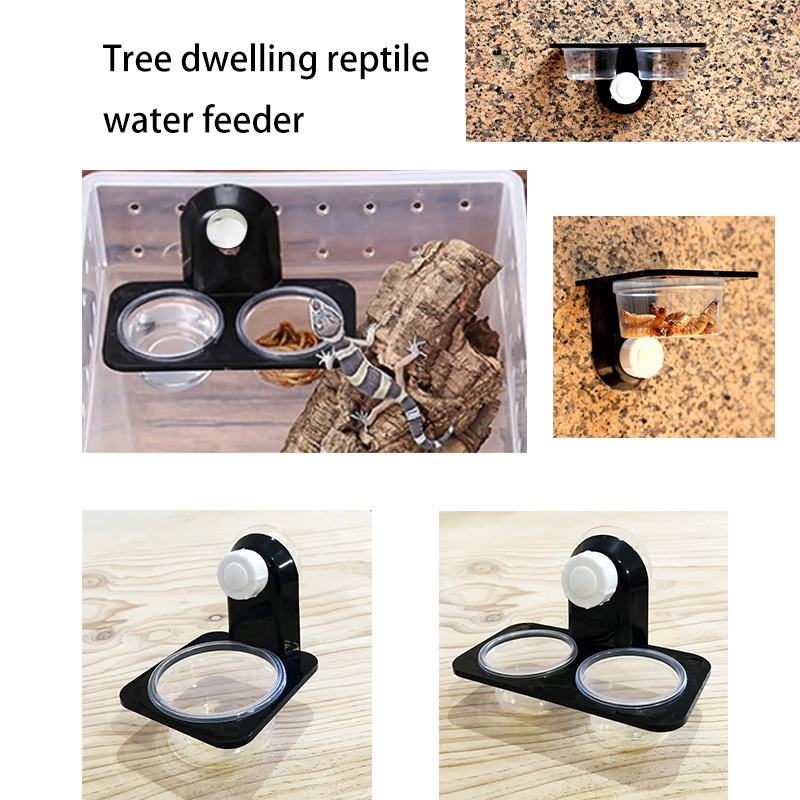 Reptile Tank Accessories Insec – обзор и цена Water Dish Reptile