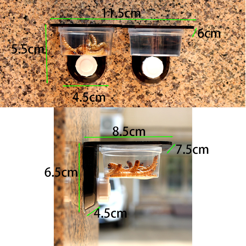 Reptile Tank Accessories Insec – обзор и цена Water Dish Reptile
