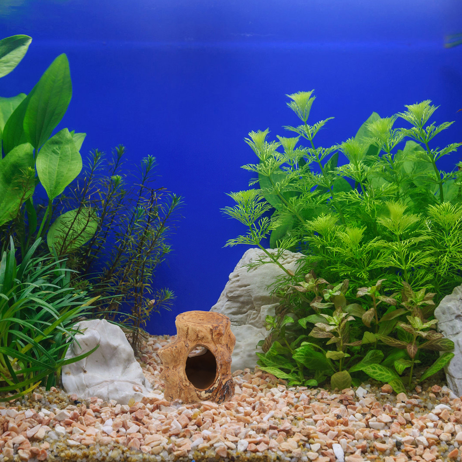 Pleco Caves Fish Tank Decorati – обзор и цена Hide Cave Ceramic