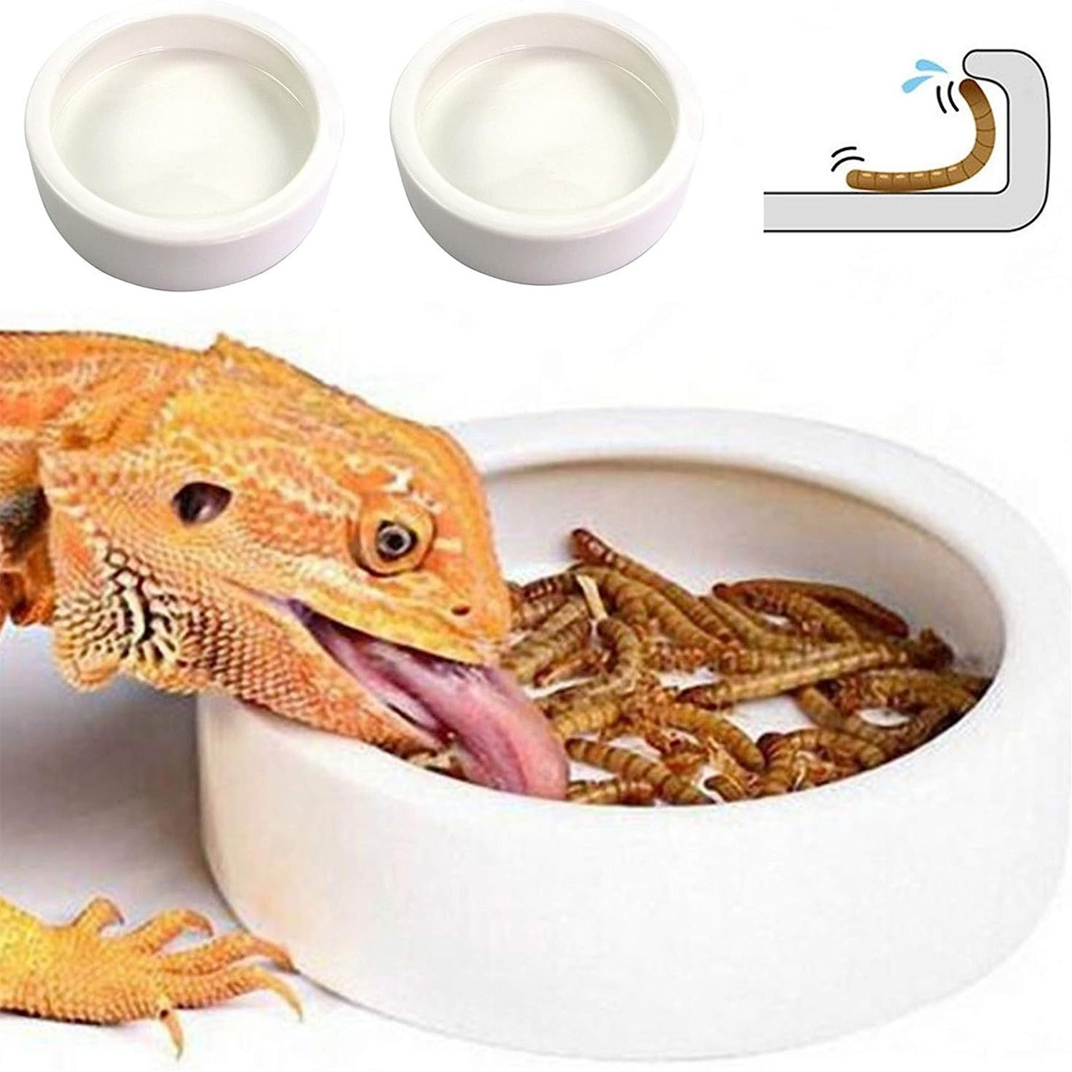 Reptile Food Bowl Feeding and  – обзор и цена Water Dish Reptile