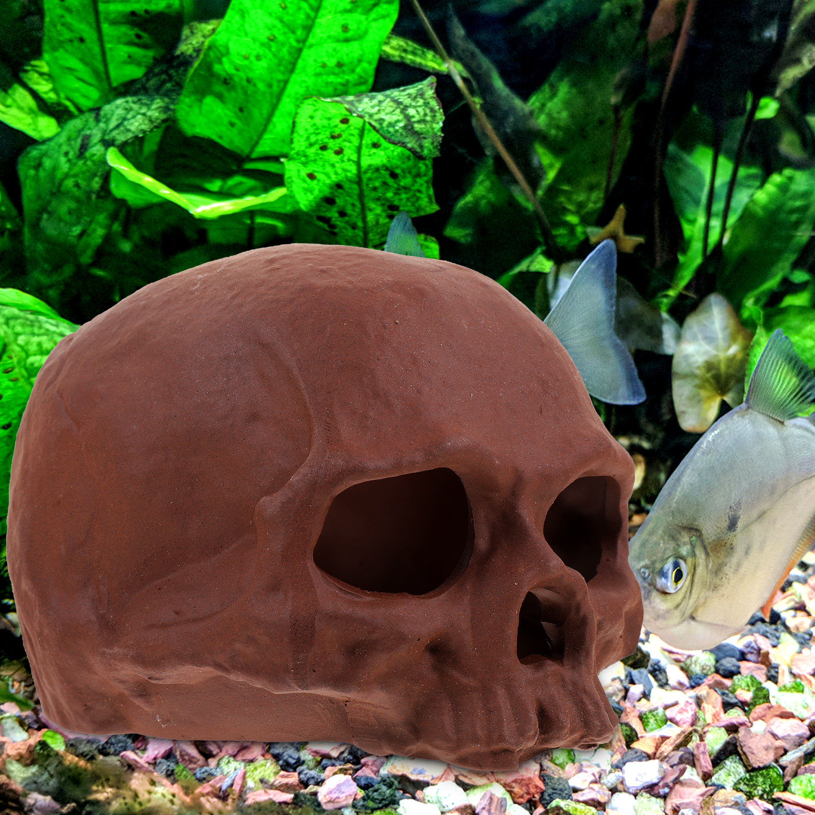 Ceramic Fish Cave Shrimp Hide  – обзор и цена Hide Cave Ceramic