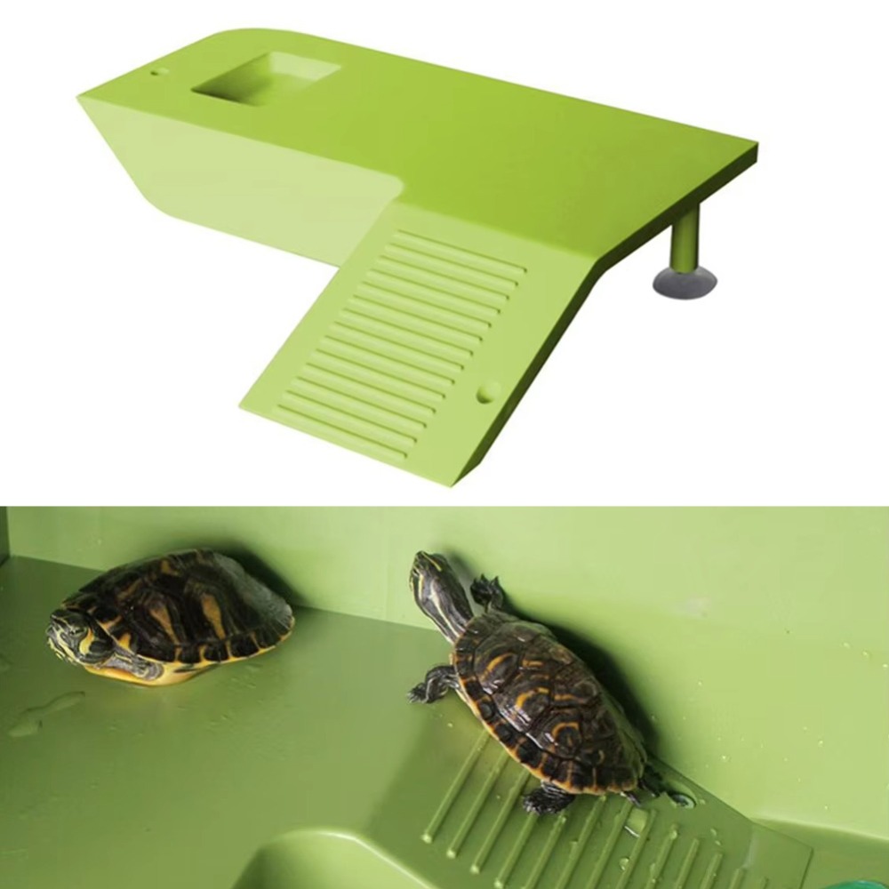 Water Land Slope Box Feeding C – обзор и цена Water Dish Reptile