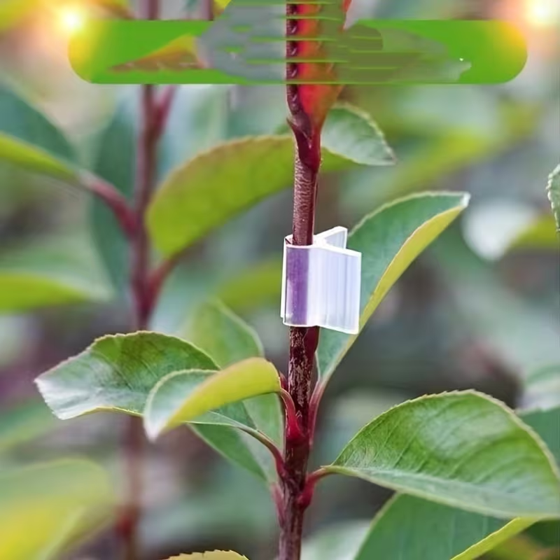 50pcs Agriculture Grafting Cli – обзор и цена Vine Climbing Plastic