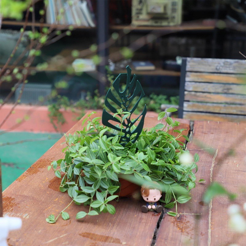 Plant Climbing Support Stand F – обзор и цена Vine Climbing Plastic