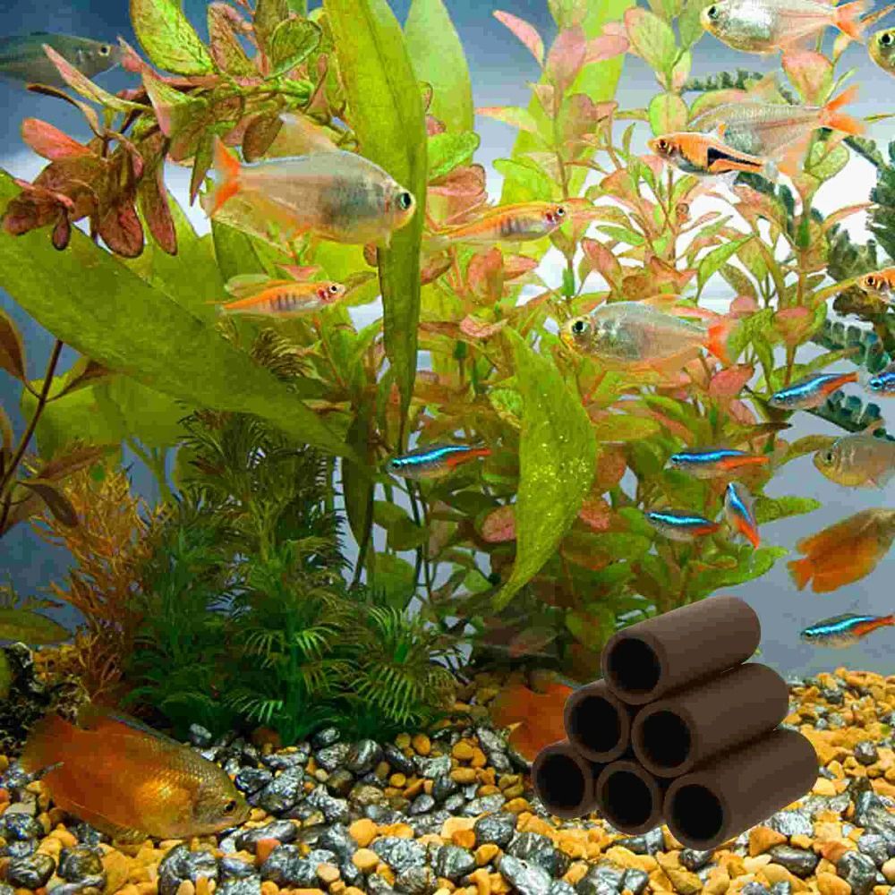 Playing Breeding Spawning Aqua – обзор и цена Hide Cave Ceramic